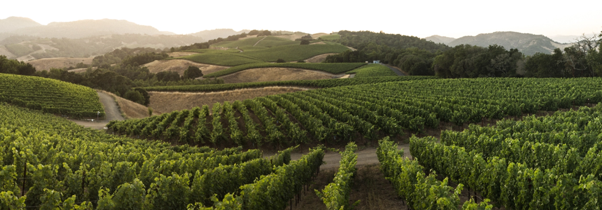 Tállya szívéből, <br/>a Tokaji borvidék kincsével